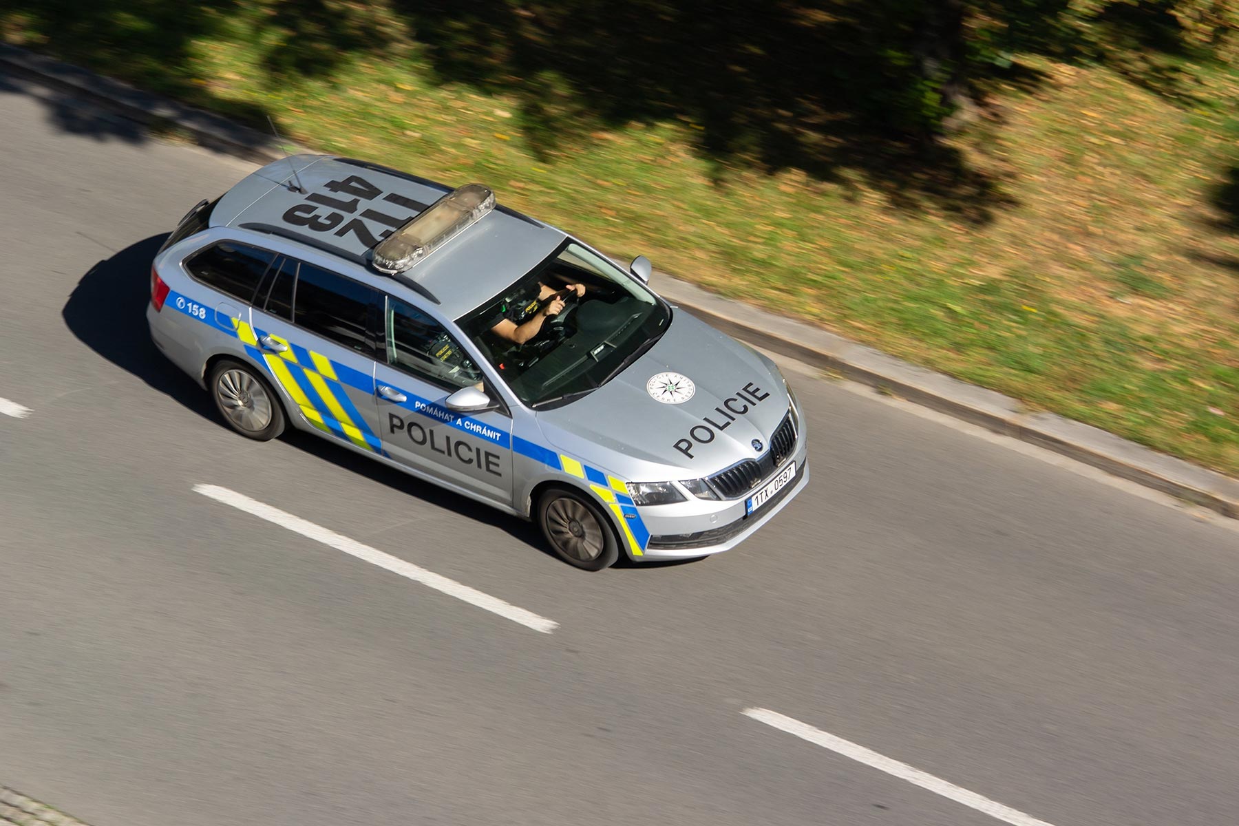 Kdy volat policii při srážce auta se zvířetem a jak postupovat?